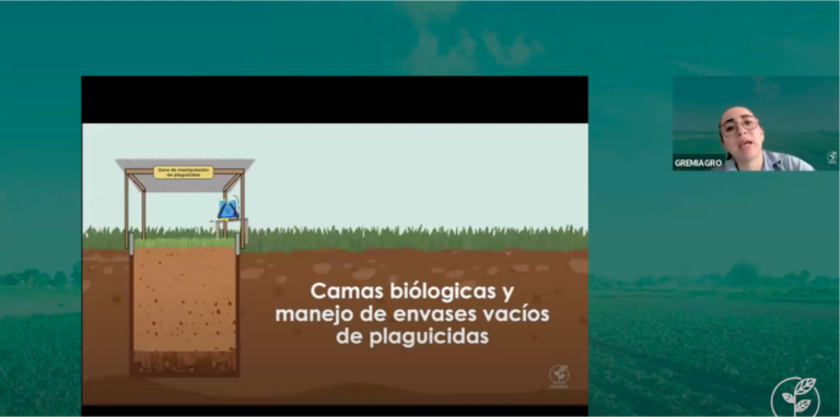 Imagen 13