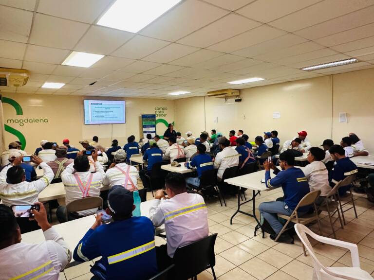 5b8454c9-fa55-4cf2-b5fc-ac21d94ac73f