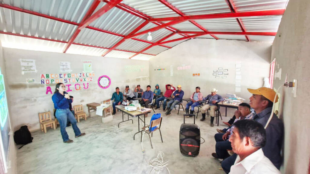 WhatsApp Image 2025-11-24 at 9.21.44 AM