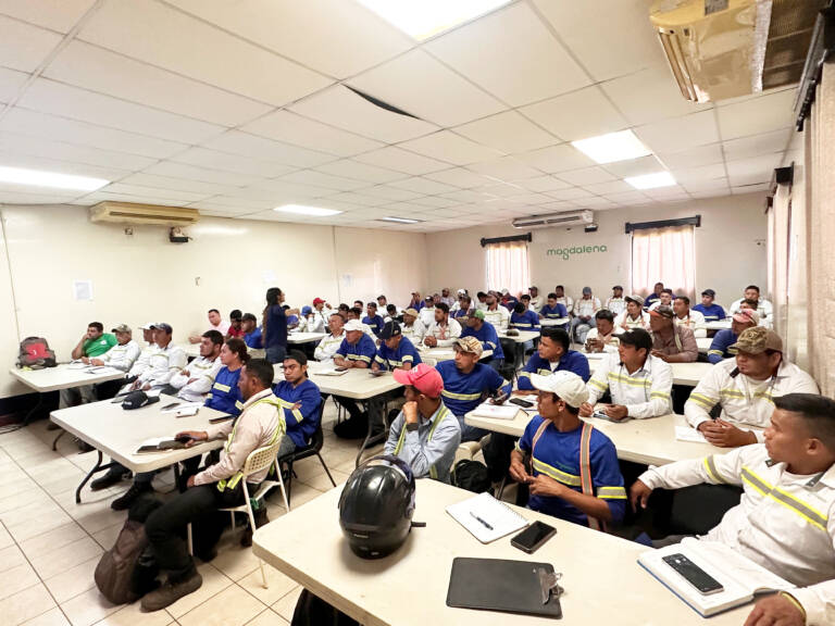 b516f575-31b6-4648-8cc0-9451c307ca80