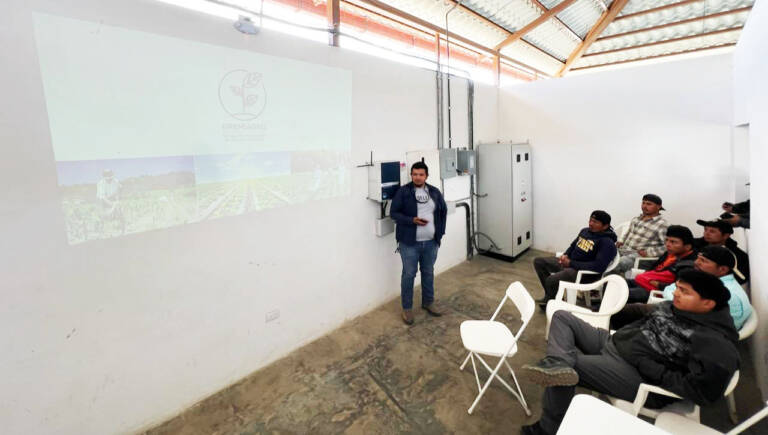 WhatsApp Image 2026-03-17 at 11.36.22 AM-3