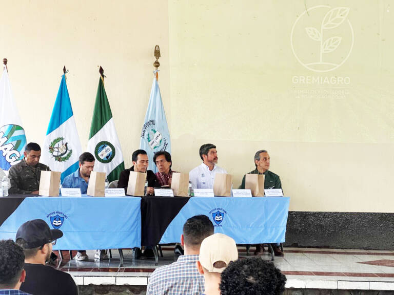 WhatsApp Image 2026-03-20 at 11.32.23 AM-2