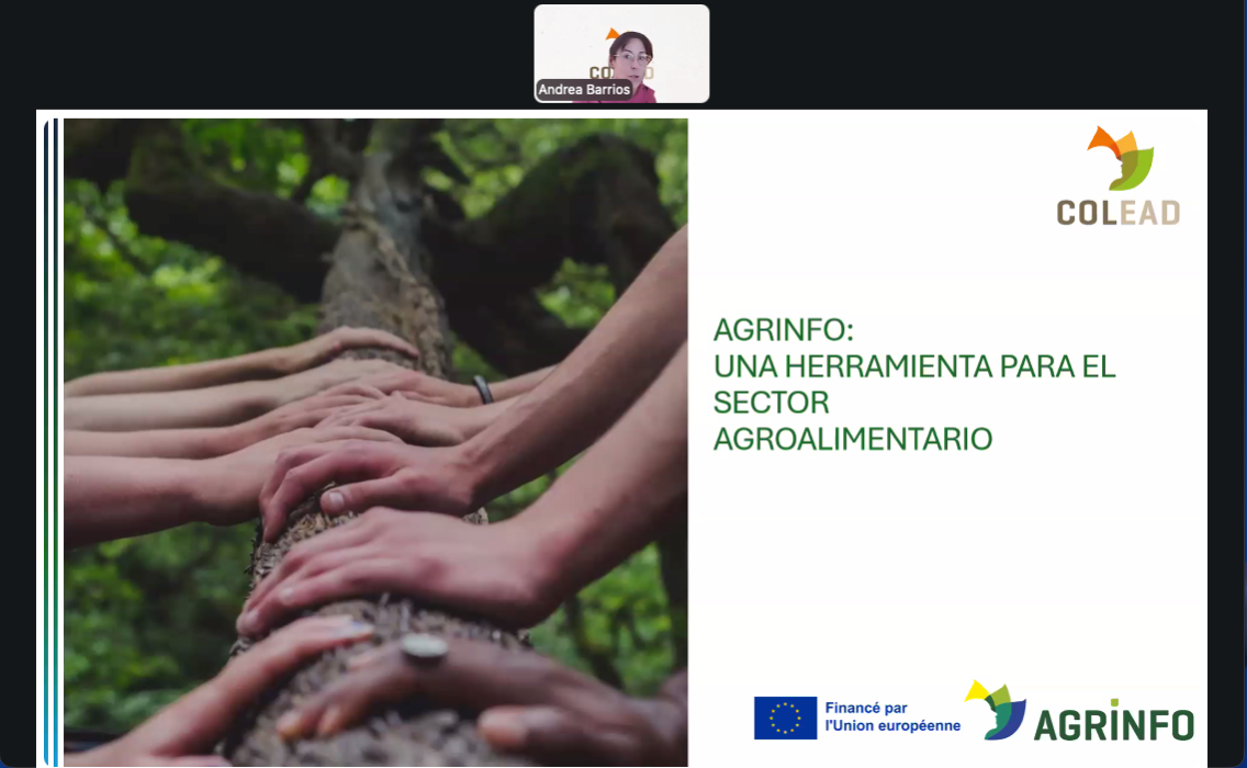 Imagen 2 webinar